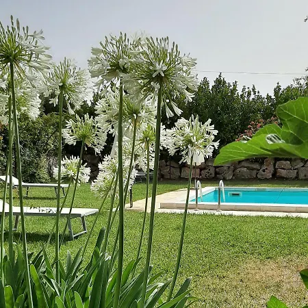 Masseria Sant'angelo Εξοχικό σπίτι Antonelli